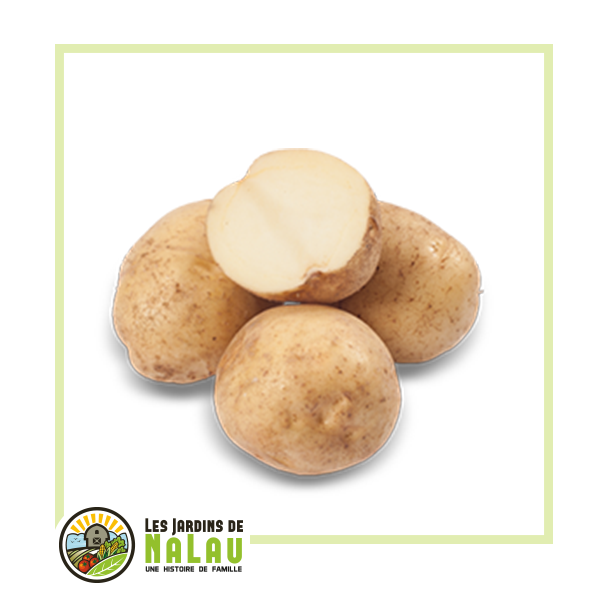 Pommes de terre Peau Blanche Chaire Blanche 1.25L Les Jardins de Nalau